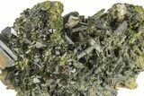 Lustrous, Epidote Crystal Cluster on Actinolite - Pakistan #257765-2